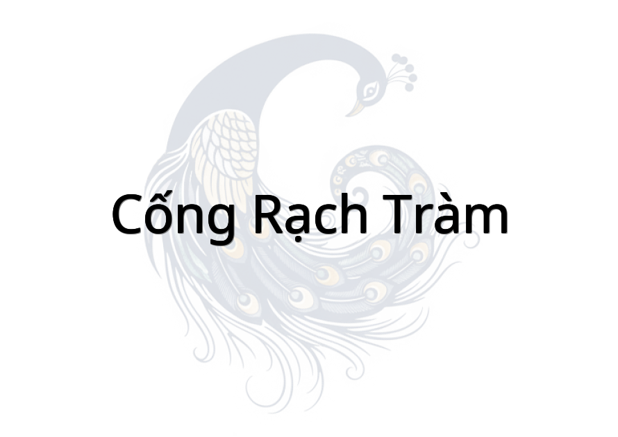 Cống Rạch Tràm