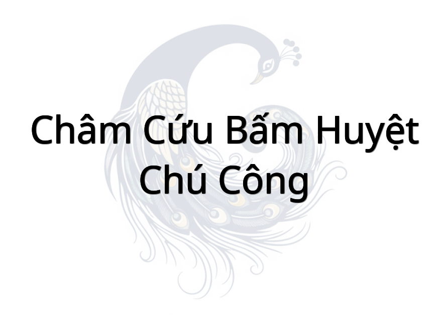 Châm cứu bấm huyệt chú Công