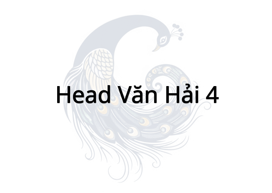 HEAD Văn Hải 4