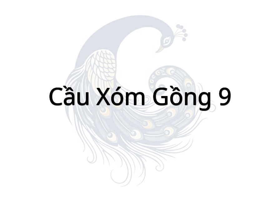 Cầu Xóm Gồng 9