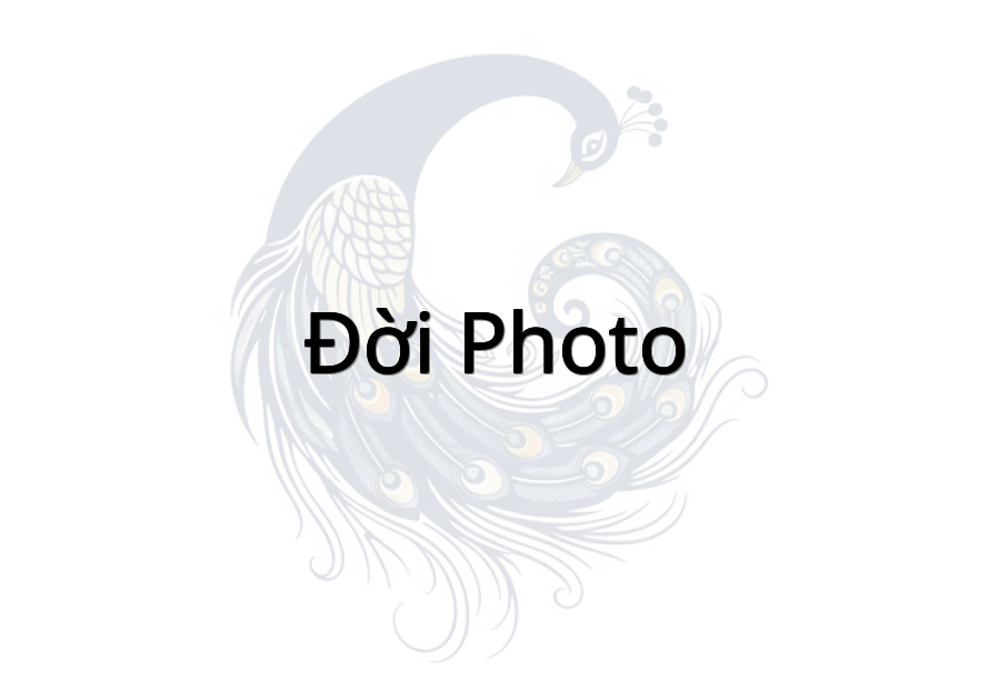 Đời Photo