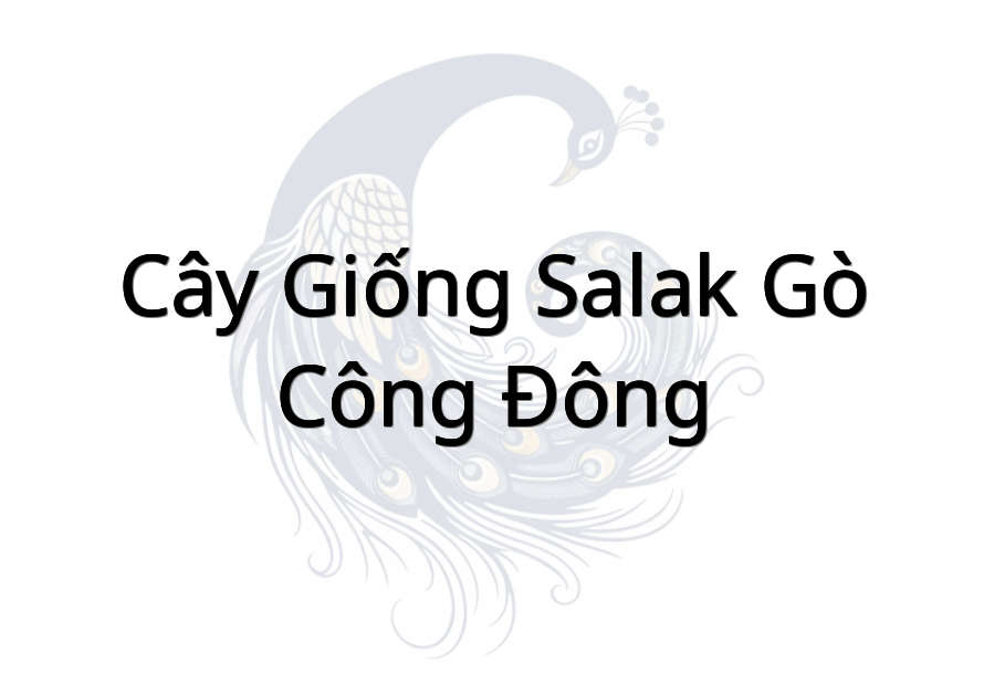 Cây Giống Salak Gò Công Đông