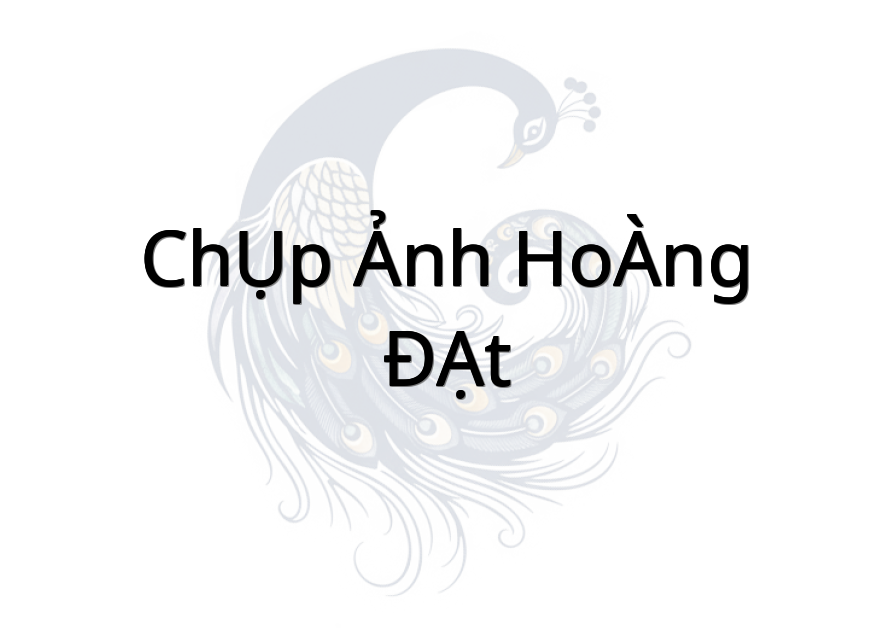 CHỤP ẢNH HOÀNG ĐẠT