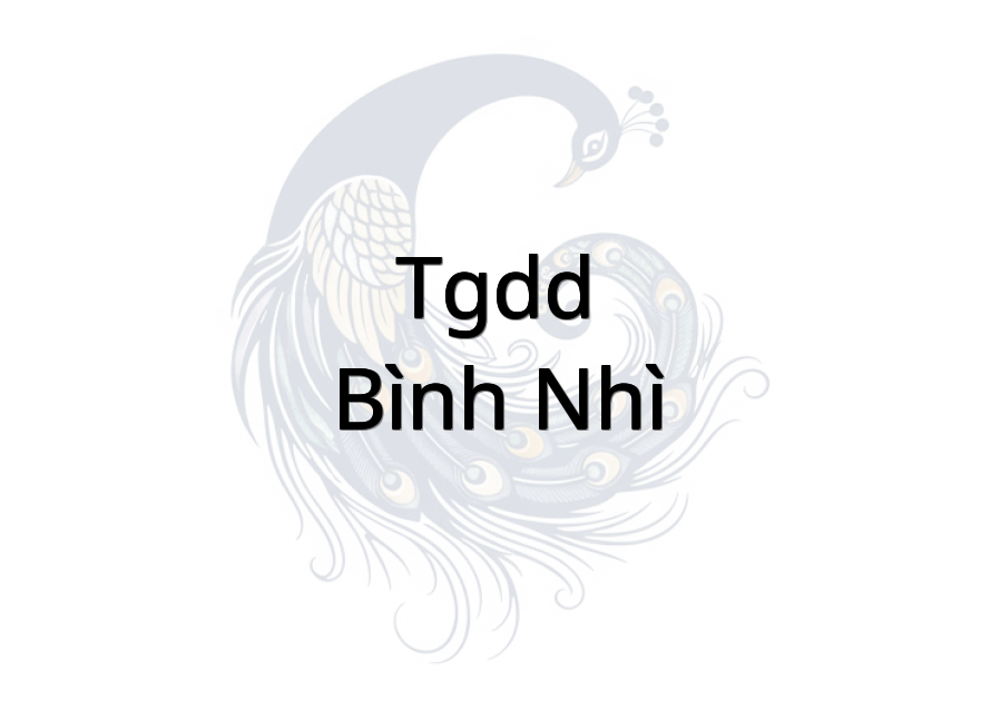 TGDD - Bình Nhì