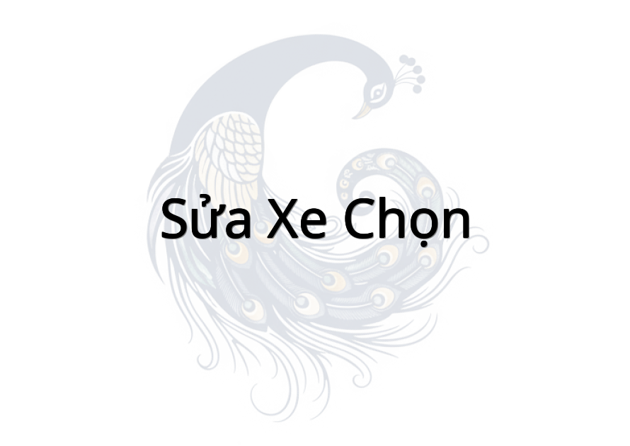 Sửa xe chọn