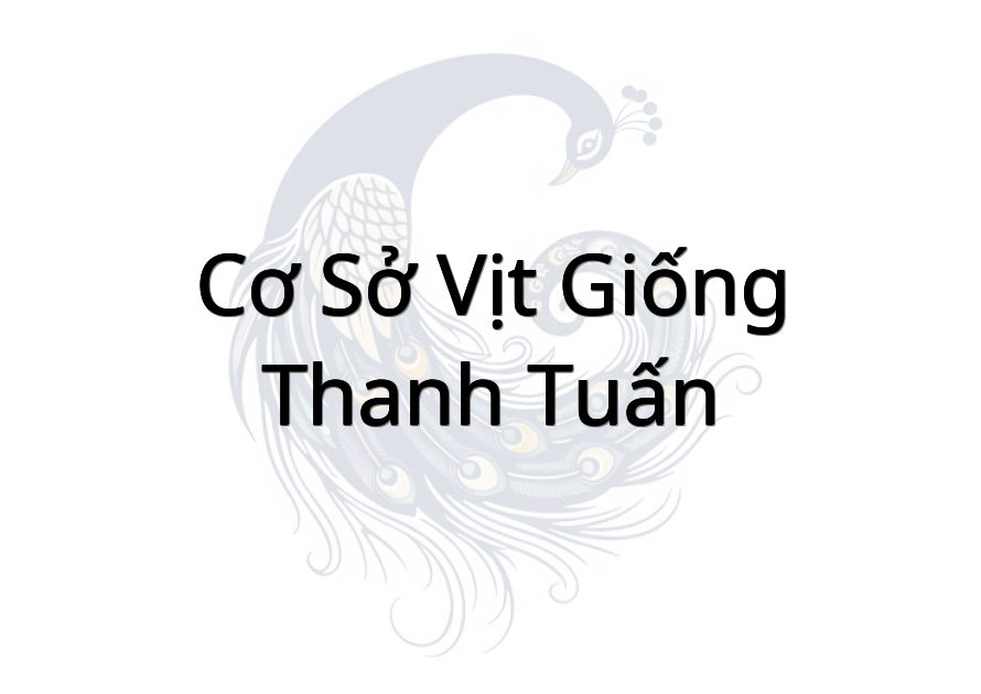 Cơ Sở Vịt Giống Thanh Tuấn