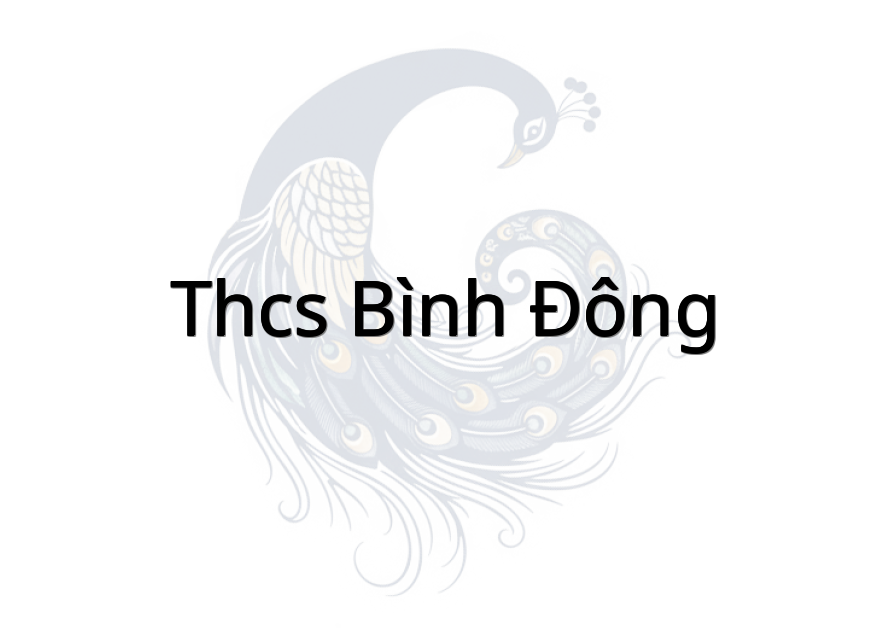THCS Bình Đông