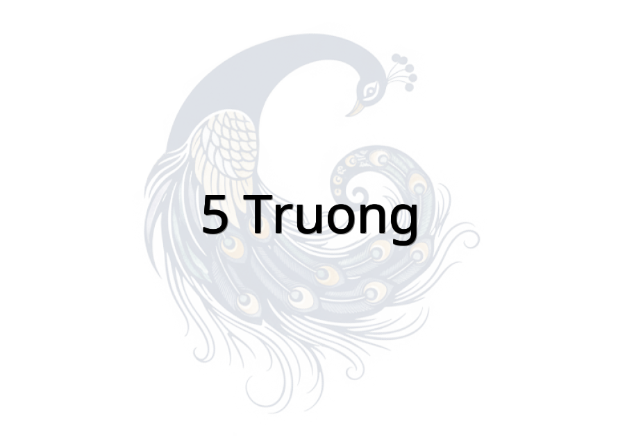 5 Truong