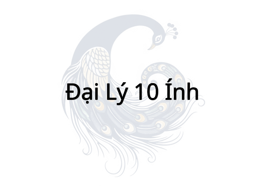 Đại Lý 10 Ính