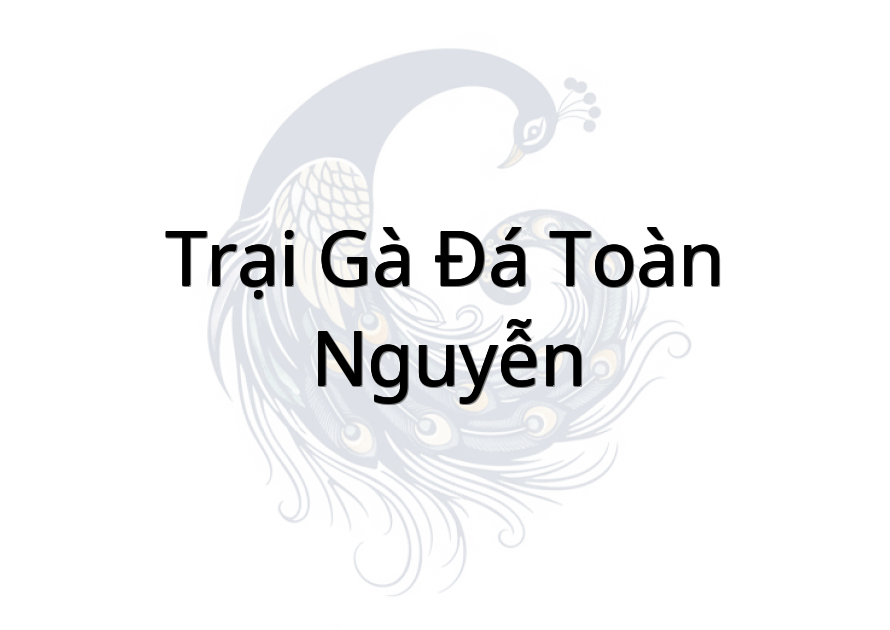 Trại Gà Đá Toàn Nguyễn