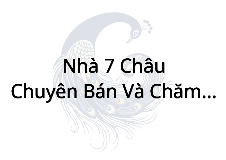 Nhà 7 Châu - Chuyên Bán và Chăm Sóc Mai