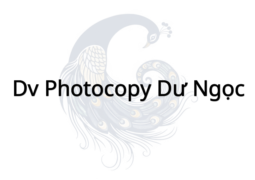 Dv Photocopy Dư Ngọc