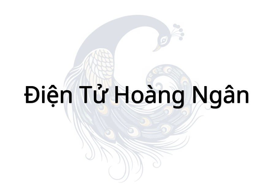 Điện Tử Hoàng Ngân