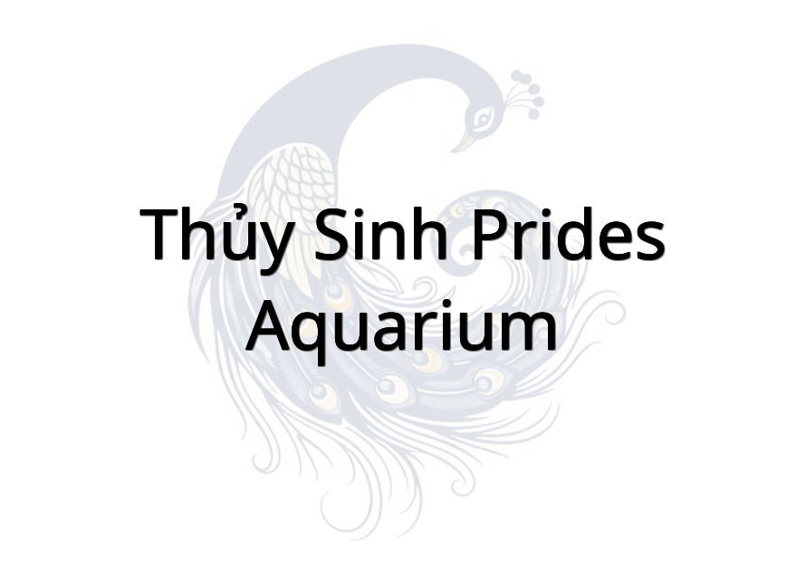 Thủy sinh Prides Aquarium