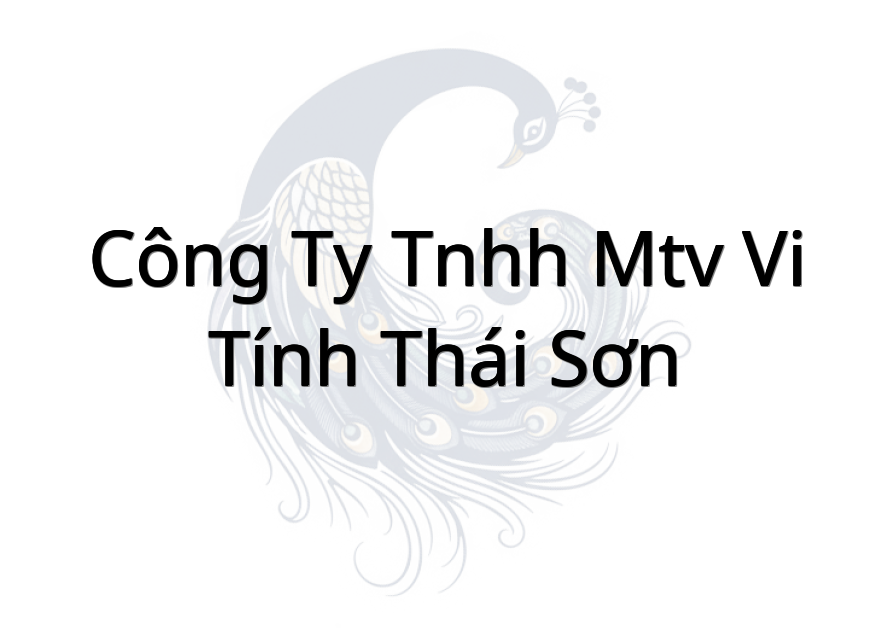 Công ty TNHH MTV Vi Tính Thái Sơn