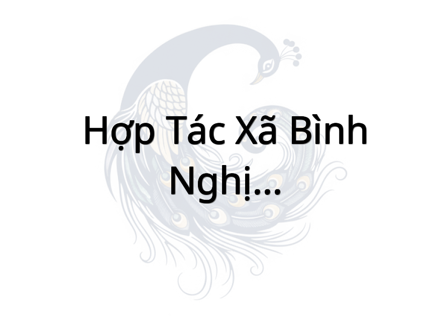 Hợp Tác Xã Bình Nghị - Gò Công Đông