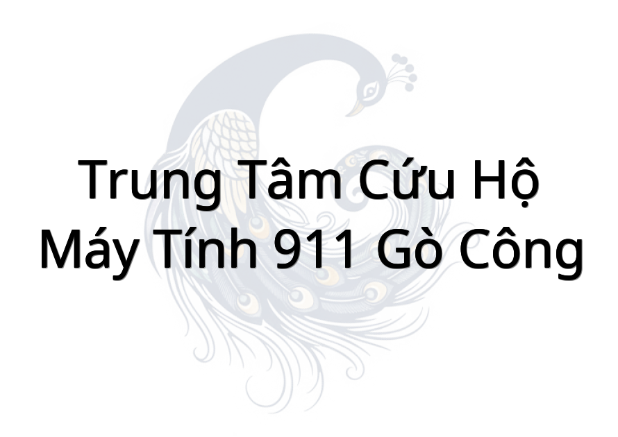 Trung Tâm Cứu Hộ Máy Tính 911 Gò Công