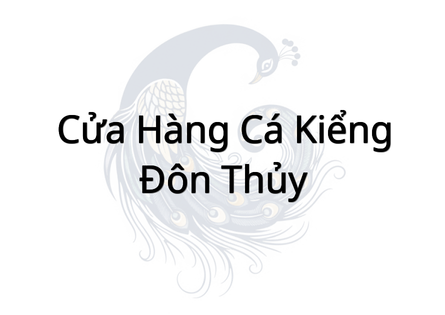 Cửa Hàng Cá Kiểng Đôn Thủy