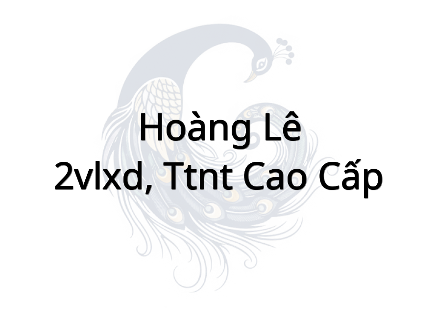 Hoàng Lê - 2VLXD, TTNT cao cấp