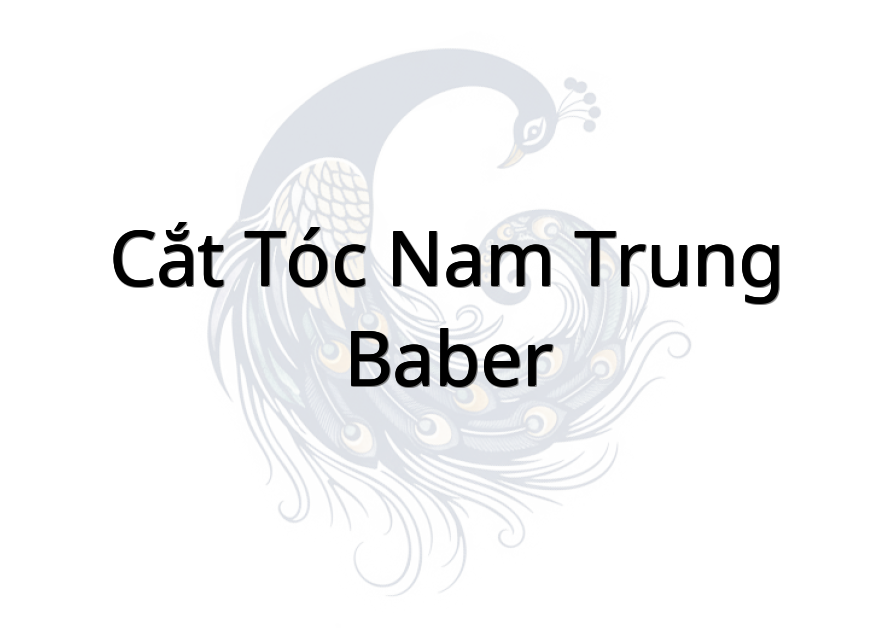 Cắt tóc nam Trung Baber