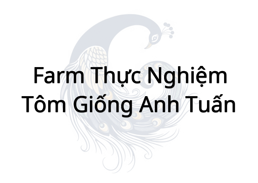 Farm thực nghiệm - Tôm giống Anh Tuấn