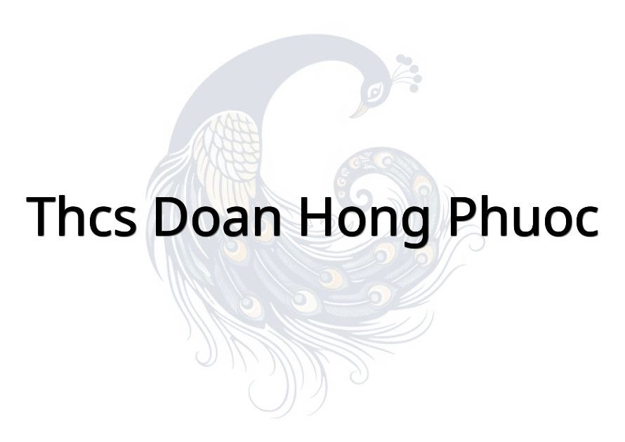 THCS DOAN HONG PHUOC