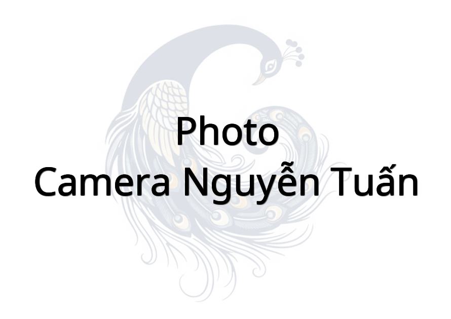 Photo - Camera Nguyễn Tuấn