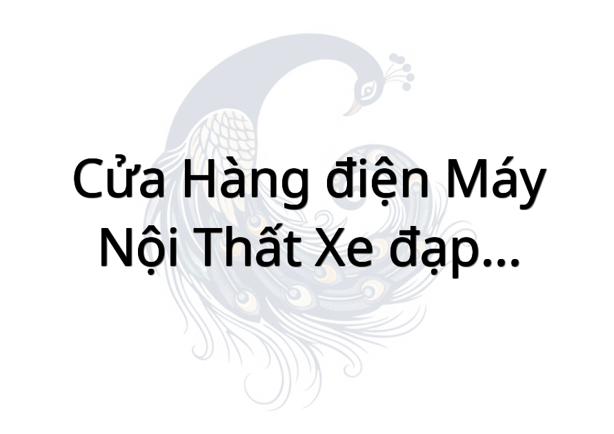 Cửa hàng điện máy nội thất xe đạp điện phát thịnh 2