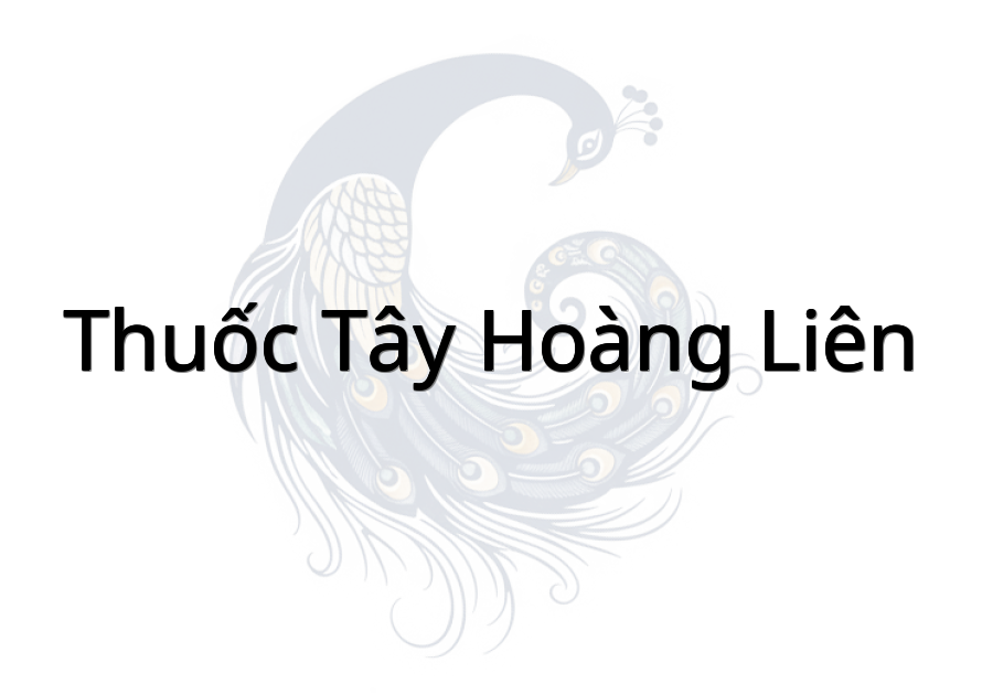 Thuốc tây Hoàng Liên