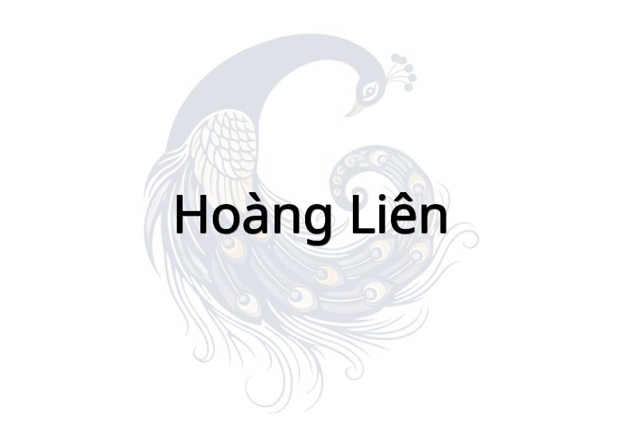 Hoàng Liên