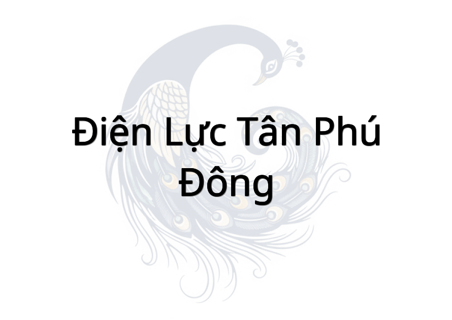 Điện lực Tân Phú Đông