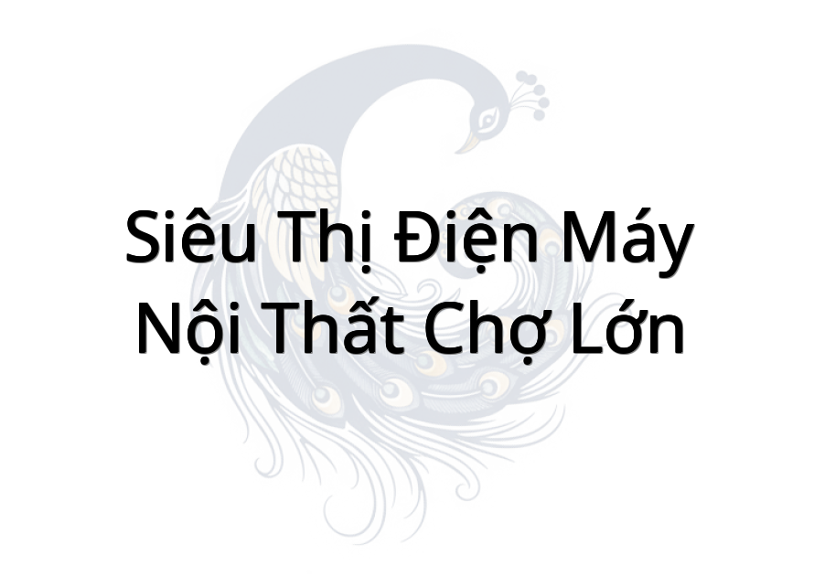 Siêu Thị Điện Máy Nội Thất Chợ Lớn