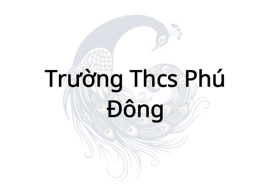Trường THCS Phú Đông
