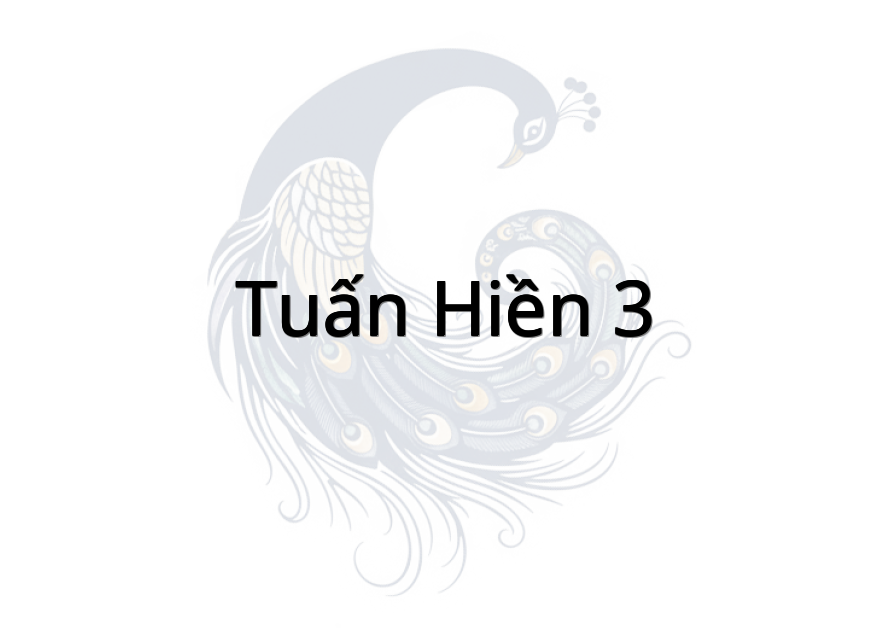 Tuấn Hiền 3