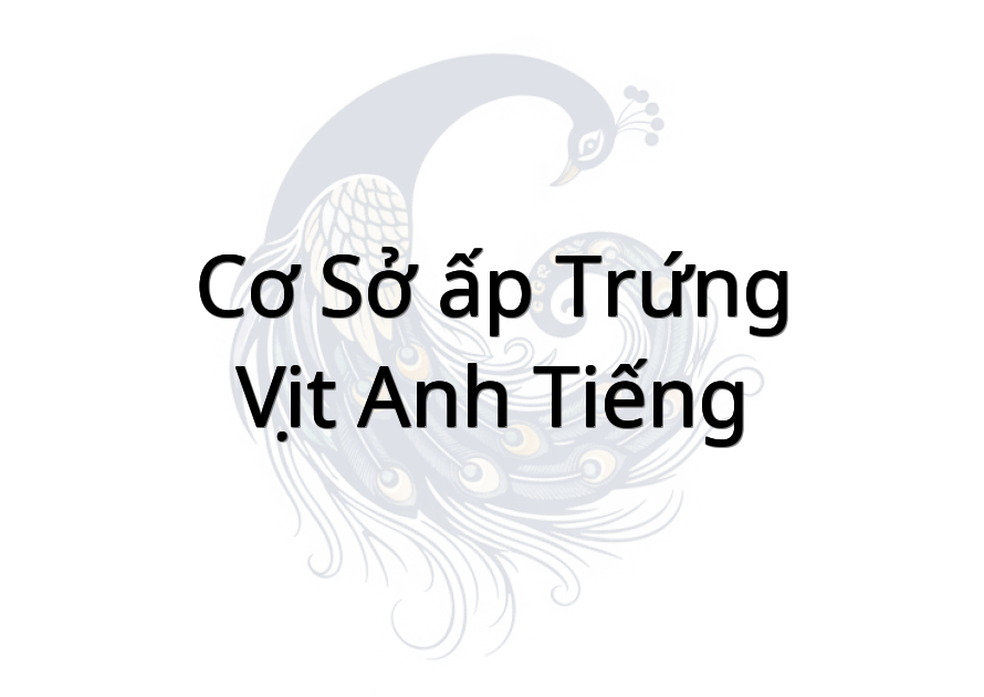 Cơ sở ấp trứng vịt anh Tiếng