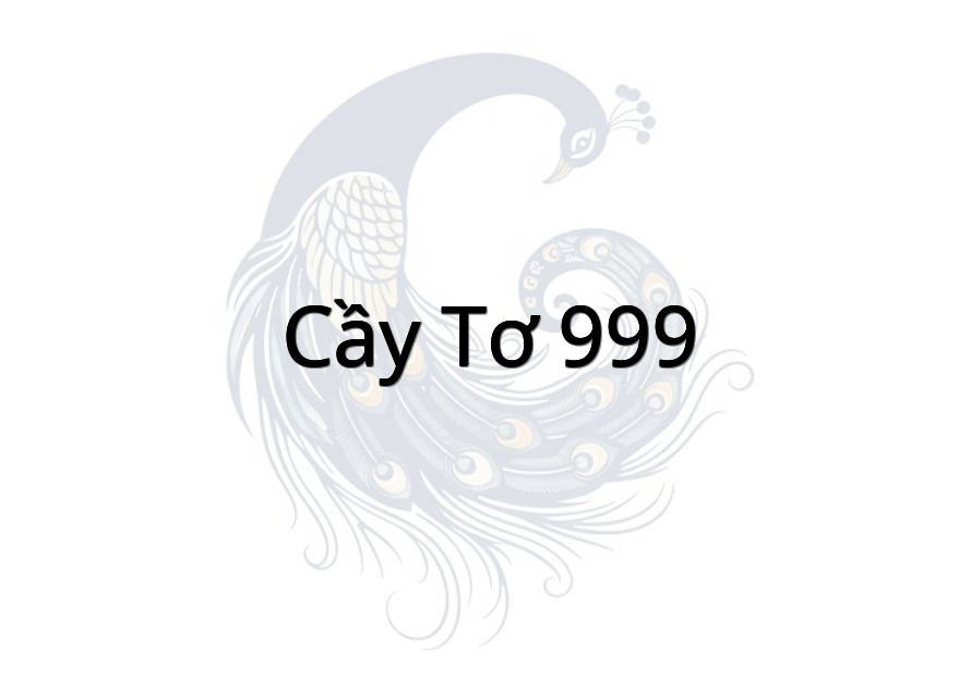Cầy tơ 999