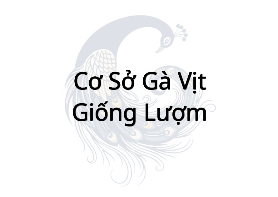 Cơ Sở Gà Vịt Giống Lượm