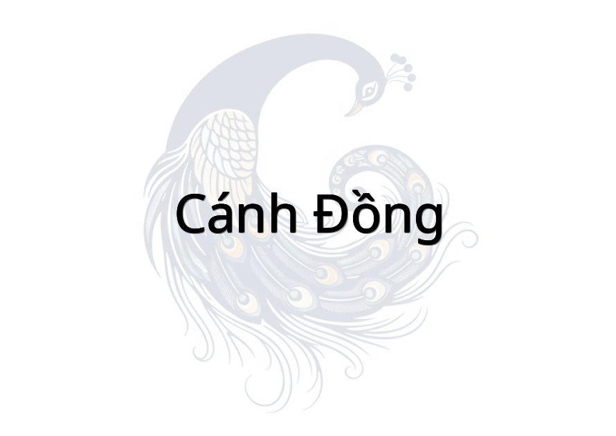 Cánh Đồng