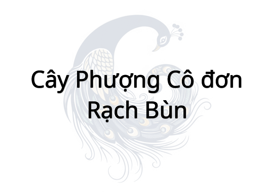 Cây phượng cô đơn Rạch Bùn