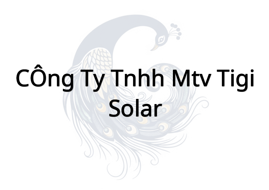 CÔNG TY TNHH MTV TIGI SOLAR