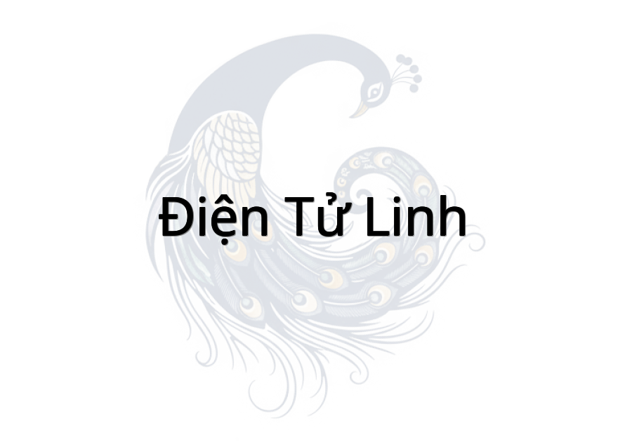 Điện Tử Linh