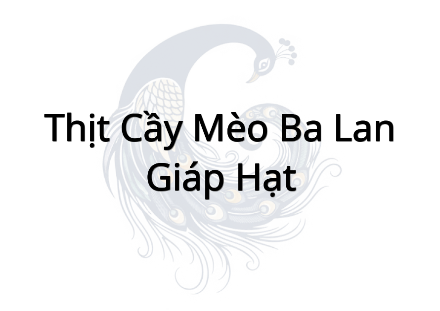 Thịt cầy mèo Ba Lan Giáp Hạt