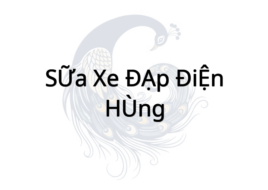 SỮA XE ĐẠP ĐIỆN - HÙNG