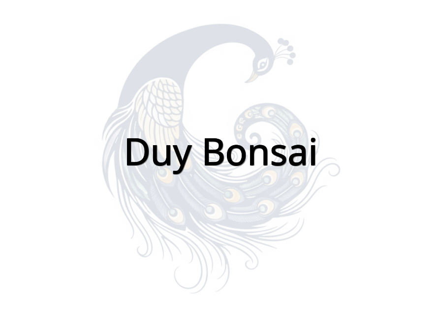 Duy bonsai