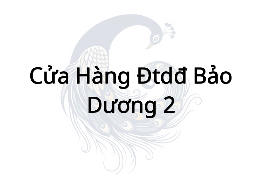 Cửa Hàng Đtdđ Bảo Dương 2