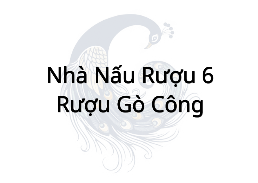 Nhà nấu rượu 6 rượu gò công