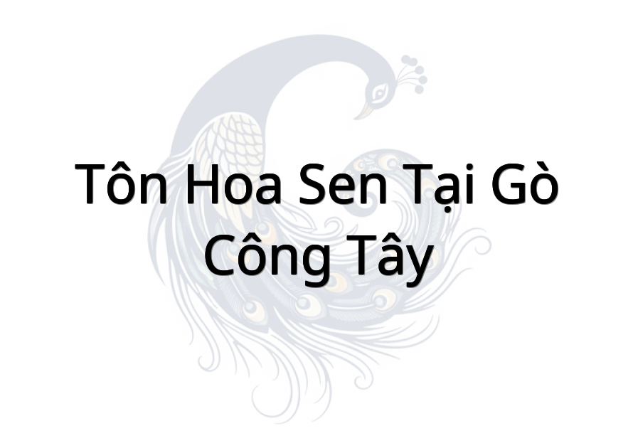 Tôn Hoa Sen Tại Gò Công Tây