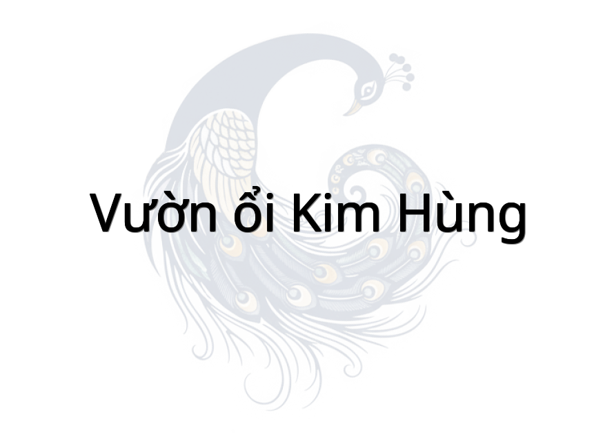 Vườn ổi Kim Hùng