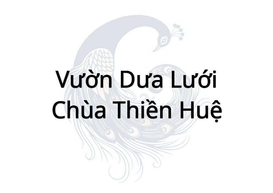 Vườn Dưa Lưới Chùa Thiền Huệ