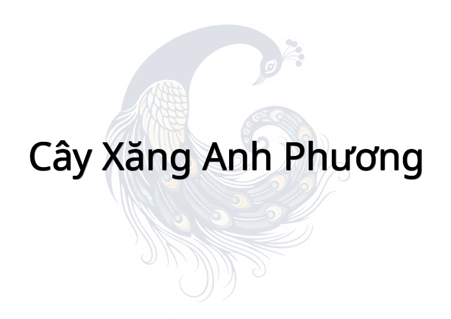 Cây xăng Anh Phương